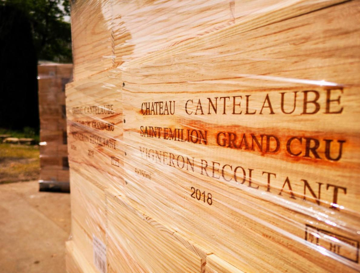 Chateau Cantelaube Saint-Émilion Zewnętrze zdjęcie