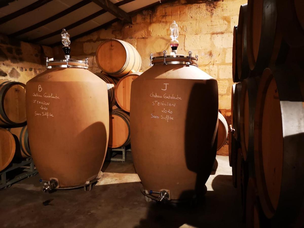 Chateau Cantelaube Saint-Émilion Zewnętrze zdjęcie