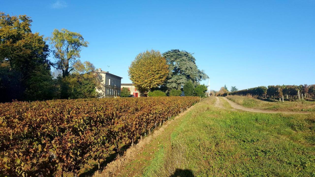 Chateau Cantelaube Saint-Émilion Zewnętrze zdjęcie